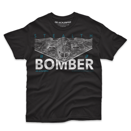 B-2 STEALTH BOMBER