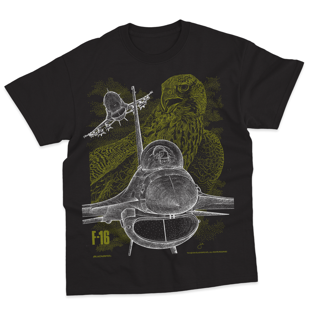 F-16 FIGHTING FALCON