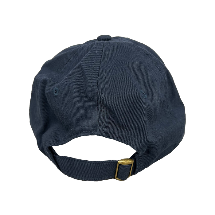 BLUE ANGELS® DAD HAT