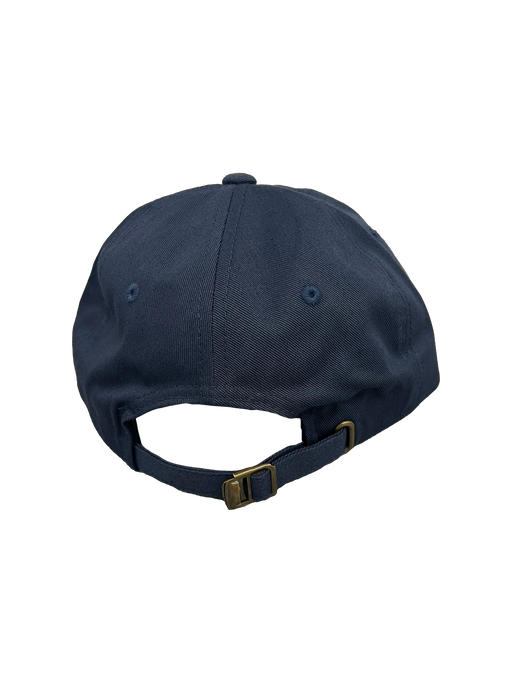 THUNDERBIRDS FACE DAD HAT