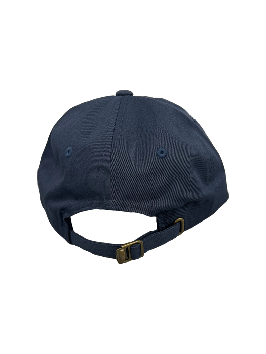 THUNDERBIRDS FACE DAD HAT