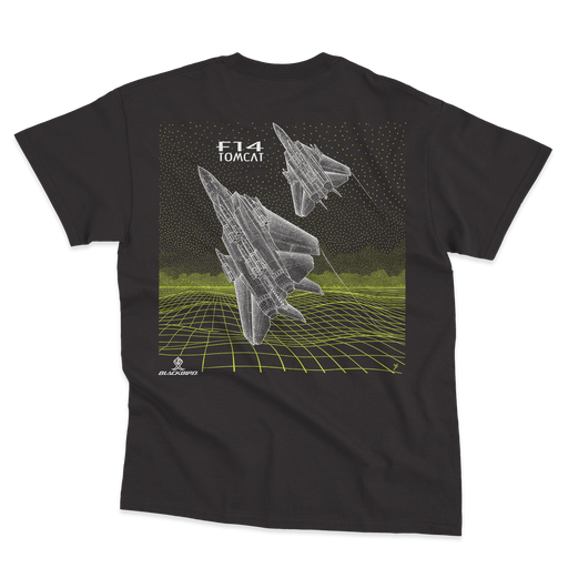 F-14 TOMCAT CARRIER