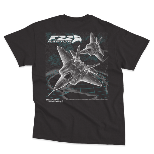 F-22 NEXT GEN